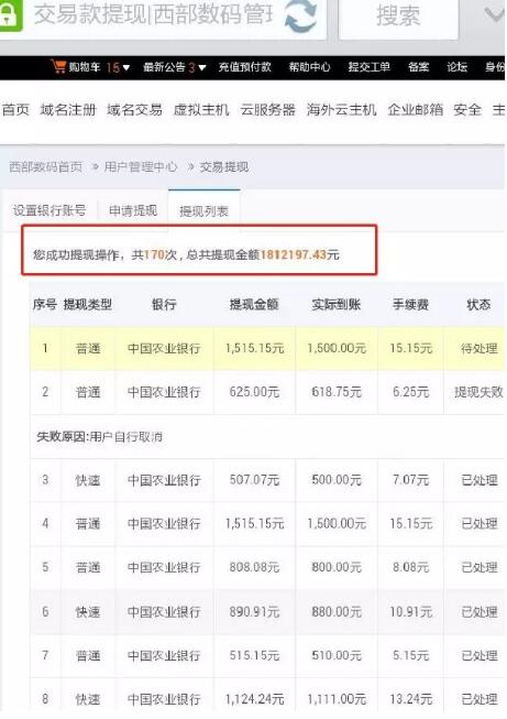 馬男波杰克 流媒體黃金時代的縮影與終結(jié)，及域名服務(wù)的隱喻